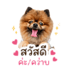 Luckky_20260501072057