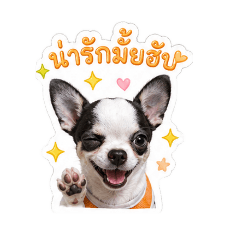 SoDa_20260501072242