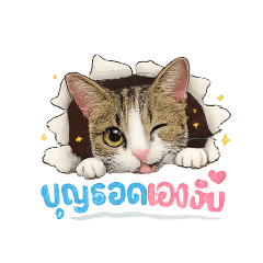 watchira_20260501073647