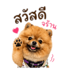 Luckky_20260501074526