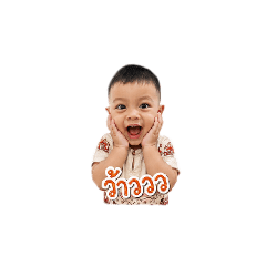Viva V.1_20260501081825
