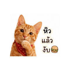 tawan_20260501081452
