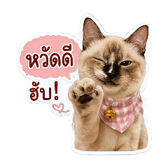 WoraKorn_20260501082203