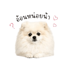 Cancandy meemhe_20260501082001