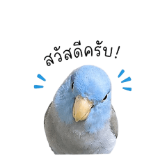 kengnimit_20260501082056