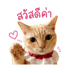 First_20260501082240