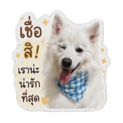 Mochi_20260501082044