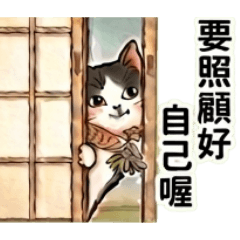 一生實用禮貌語!日系和風賓士貓
