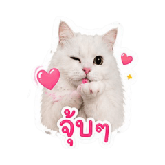 saabuu01_20260501083401