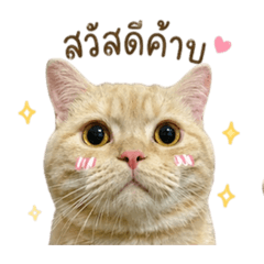 Nongnink_20260501084058