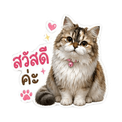 SaiSai_20260501084907