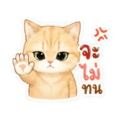 nina_2026050108515566778899