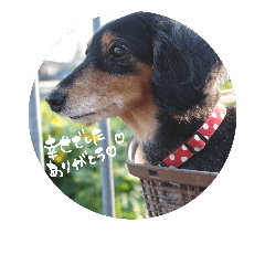 choco**stamp