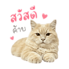 Kanna_20260501092116