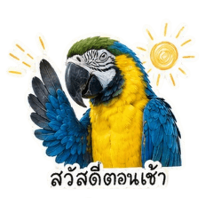 Applepooh_20260501092536