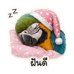 Applepooh_20260501092836