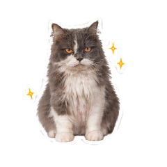 yayalovecat