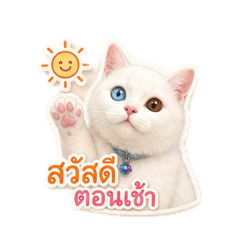 Sawasasa_20260501093226