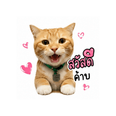 mnisyyy_20260501094225