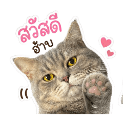 kwan_20260501100020