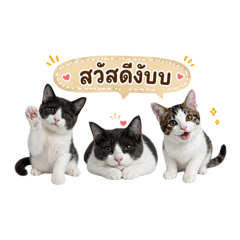 Thanasuppakit_20260501101217