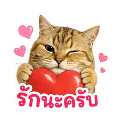 Mii Wanchanok_20260501102715