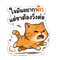 Sitaphat_20260501102628