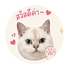 Pink_20260501105400