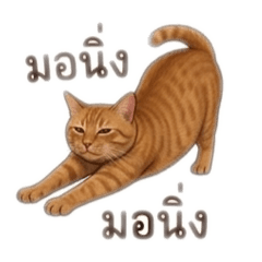 Male Garfield