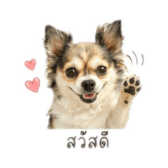 My best friend Tonhom
