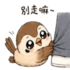 淘氣撒嬌版麻雀