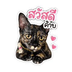 Muayly_20260501111647