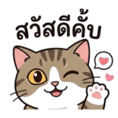 Paracat_20260501111852