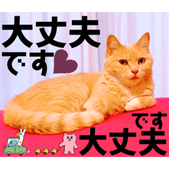 Mochioba_20260617194113