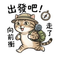 The Multitasking Cat