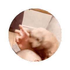 1111_20260617152222