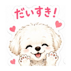 Ayami_20260605170654