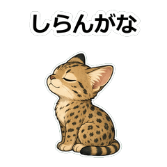 貓咪動畫真心話 Z065