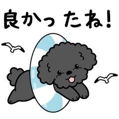 やさしいトイプー『基本セット』