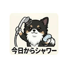 shunachiwa_20260605165432