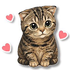 NACO Sticker A