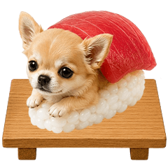 Chihuahua sushi