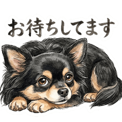 A polite Chihuahua(Black&Tan) sticker.