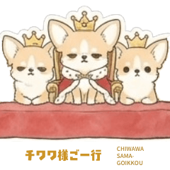 Chihuahua's Wish Stickers!