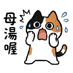 三花貓凡凡 真的母湯篇