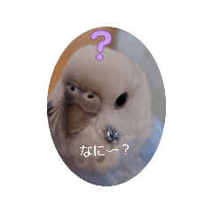 A_20260605172305