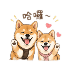 日常自家柴