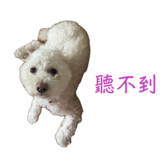 Chelsea 唸作 tshiò-sí - 八不原則