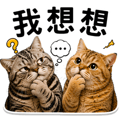 胖迪頻道-金小胖+阿迪(日常版)