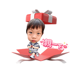 Miffy class Felix